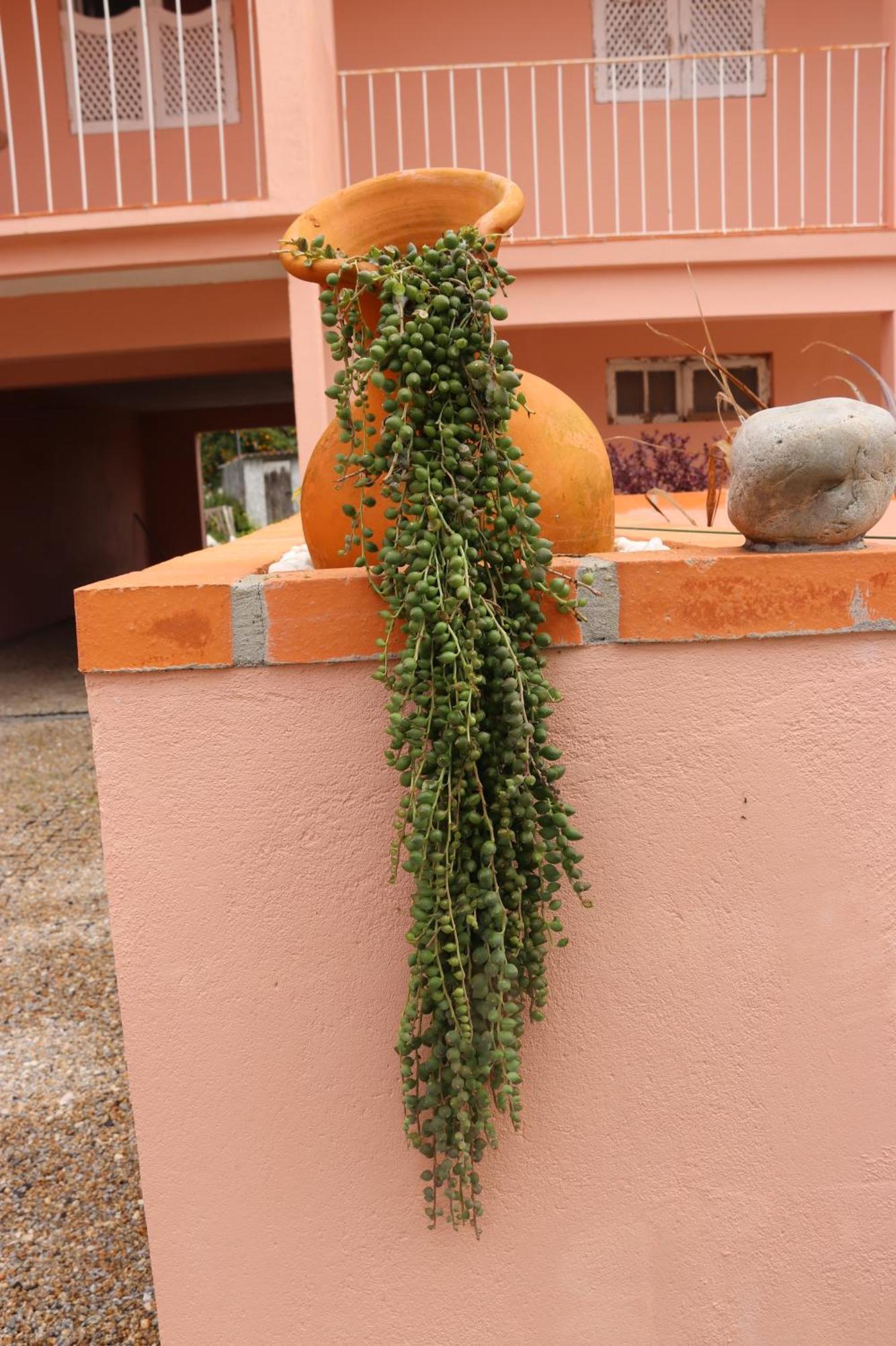 فيلا Casa Do Avo Gil سيكو المظهر الخارجي الصورة
